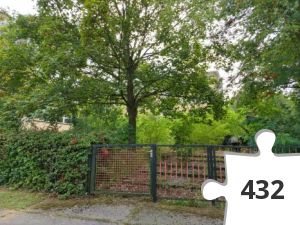 Jigsaw puzzle - IMG-20190817-WA0001[1]