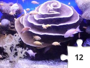 Jigsaw puzzle - CIMG1704