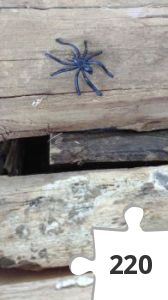 Jigsaw puzzle - IMG_20200623_181612