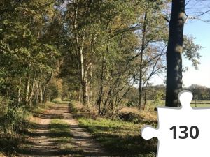 Jigsaw puzzle - puzzel 19 zandpad 2