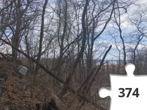 Jigsaw puzzle - Eagle Fest 2020