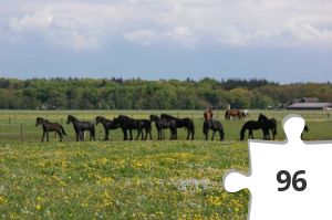 Jigsaw puzzle - #32 ZW FRL Puzzeltrail