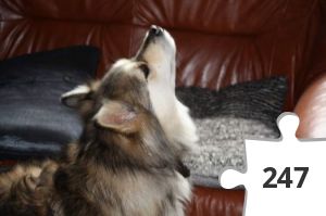 Jigsaw puzzle - syys (2)