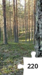 Jigsaw puzzle - Hitta hunden!