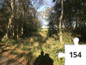 Jigsaw puzzle - puzzel 20 Alfred Hitchcock