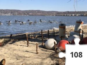 Jigsaw puzzle - Geese on the move!