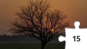 Jigsaw puzzle - Vandtårnet 44