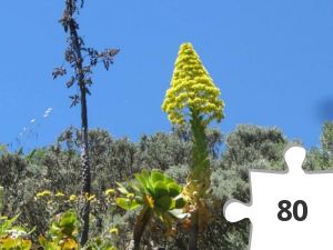 Jigsaw puzzle - DDVK 11