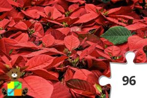 Jigsaw puzzle - Geoschnuefflers Adventskalender - Türchen 3