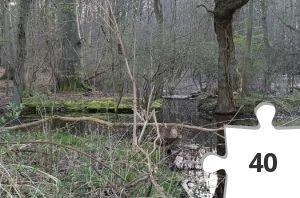 Jigsaw puzzle - 20200324_172936