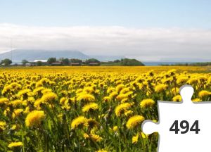 Jigsaw puzzle - Bodø_01