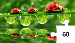 Jigsaw puzzle - rolder 02