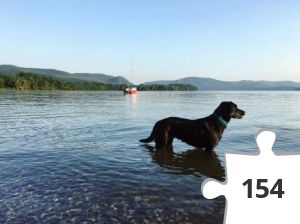 Jigsaw puzzle - Is she in the water again?