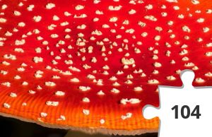 Jigsaw puzzle - "Fliegen" Pilz