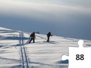 Jigsaw puzzle - Nr. 21 Olalia