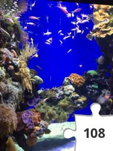 Jigsaw puzzle - Koraller