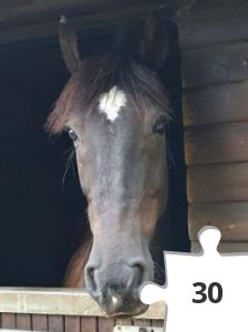 Jigsaw puzzle - IMG-20200812-WA0003