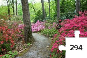 Jigsaw puzzle - The Arboretum