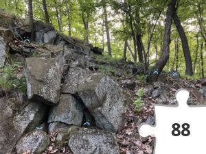 Jigsaw puzzle - Not More Wild Grafitti?!