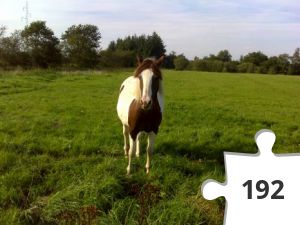 Jigsaw puzzle - puslerier 5