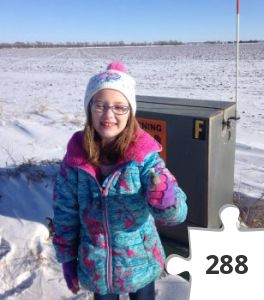 Jigsaw puzzle - A cold day on the prairie