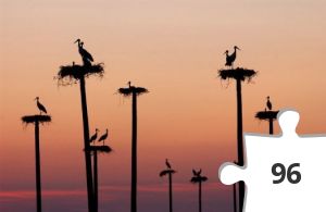 Jigsaw puzzle - cigueñas