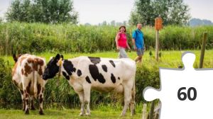 Jigsaw puzzle - #aa ZW FRL Puzzeltrail