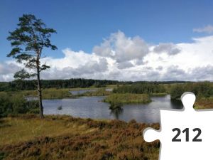 Jigsaw puzzle - 2019-09-07 11.20.43