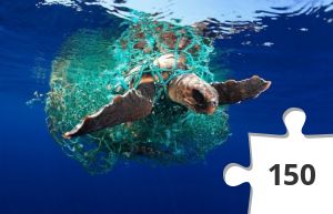 Jigsaw puzzle - Heal the World #14