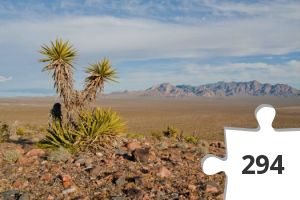 Jigsaw puzzle - Ab in die Wüste