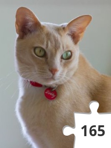 Jigsaw puzzle - Beautiful Bobby