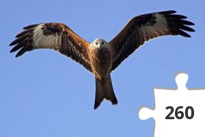 Jigsaw puzzle - kigger på fugle # 23
