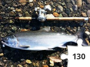 Jigsaw puzzle - Silberlachs