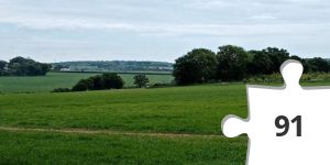 Jigsaw puzzle - smannel fields