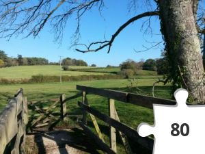 Jigsaw puzzle - Little Bridge.