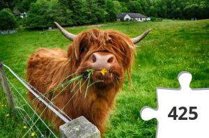 Jigsaw puzzle - Puzzle10_Schottland