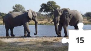 Jigsaw puzzle - 261f4a86459a3e48142ece89e575f508