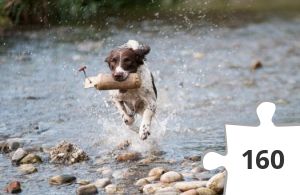 Jigsaw puzzle - Who let the dog out?