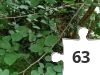 Jigsaw puzzle - CACHE 16
