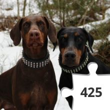 Jigsaw puzzle - Nilla & Twister