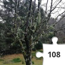 Jigsaw puzzle - IMG_20191220_135535