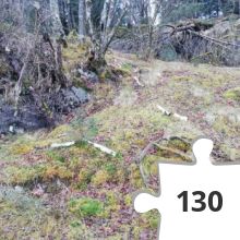 Jigsaw puzzle - IMG_20191220_140219