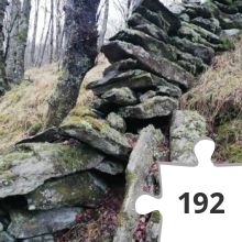 Jigsaw puzzle - IMG_20191220_135446