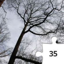 Jigsaw puzzle - 07601