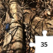 Jigsaw puzzle - Spoiler Alert!