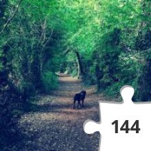 Jigsaw puzzle - jigsaw puzzle1