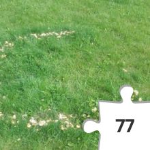 Jigsaw puzzle - jigsaw puzzle 4