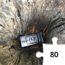 Jigsaw puzzle - 2017-08-15 16.18.31