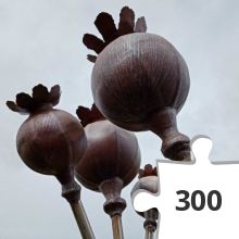 Jigsaw puzzle - poppy