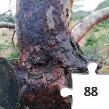 Jigsaw puzzle - IMG_20191220_133721